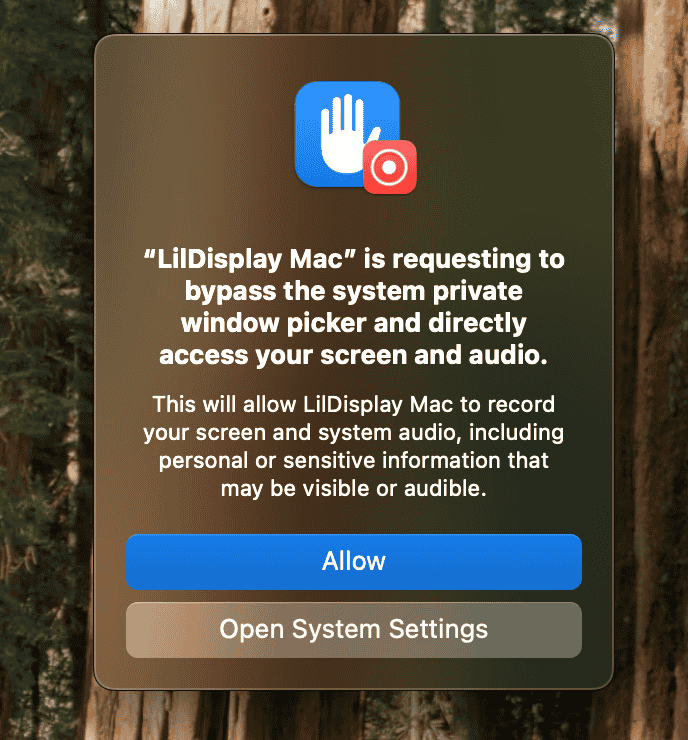 Screen Access permission