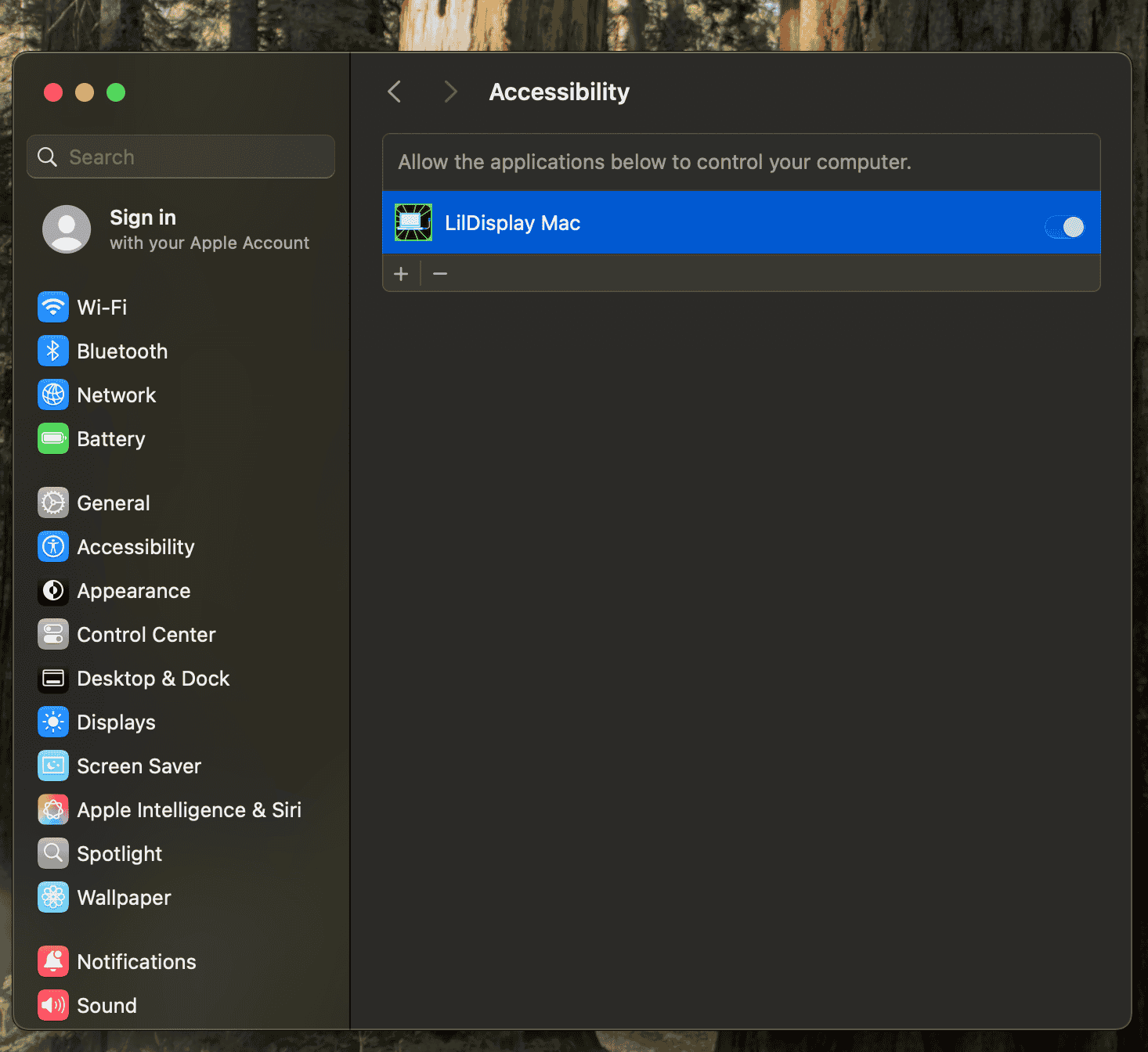 Accessibility in System Settings