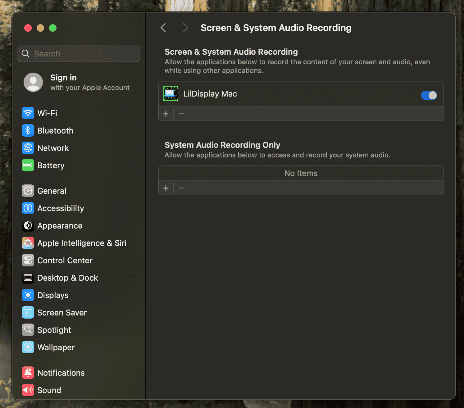 Screen Recording in System Settings